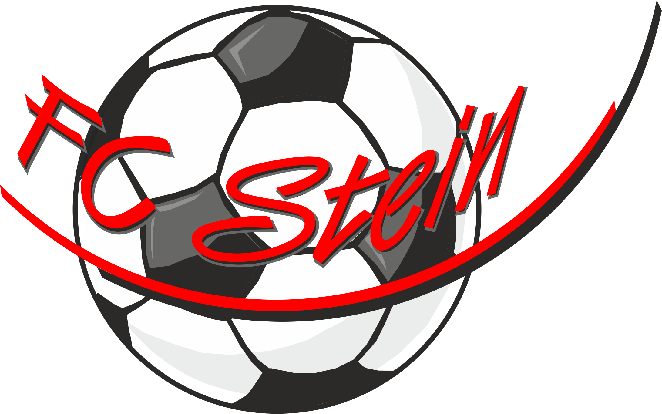 FC STEIN Logo