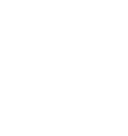 FC Flawil Training Logo